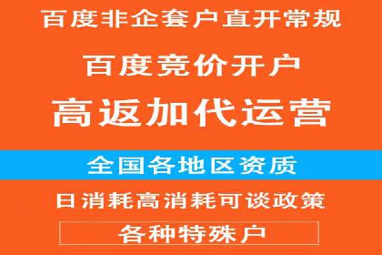 百度推广怎么做：成功案例分析与实战技巧